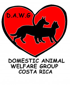 DAWG Uvita Costa Rica logo | Costa Pacifica LIVING