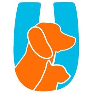 El Refugio Dog Rescue Uvita Costa Rica | Costa Pacifica LIVING