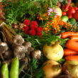 HELPCA Produce and Artisanal Goods | Costa Pacifica LIVING