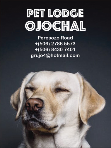Pet Lodge Ojochal Costa Rica ad | Costa Pacifica LIVING