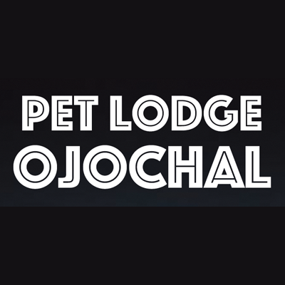 Pet Lodge Ojochal Pet Boarding and Sitting | Costa Pacifica LIVING